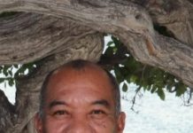 Henk Stanley Vreeswijk