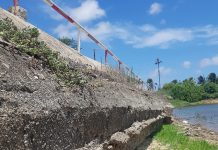 Dam di Rooi Afo cera: A haya piscanan morto den e dam y ta sperando resultado di testnan di e awa