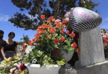 Puerto Rico: Lo establece pensioen y beca educativo pa yiunan di victimanan di violencia di genero