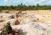 Cuba: Mas di 60 Cubano deteni pa extraccion ilegal di oro