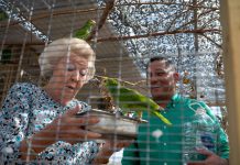 A presenta proyecto di reintroduccion di Lora na Aruba na prinses Beatrix