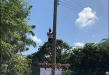 ELMAR su Open Dag a mustra compromiso na comunidad y innovacion den distribucion di energia