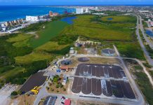 Parlamentario Wever-Croes ta critica falta di accion riba crisis di Bubaliplas