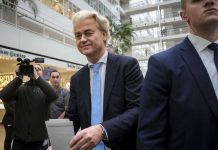 Victoria mas grandi cu anticipa pa PVV; GroenLinks/PVDA tambe a anota avance grandi