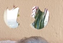 Agripina Betranda Geerman-Kock