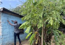 Yamado urgente pa accion contra condicionnan di bida na Corsou