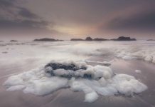 Zuid-Holland ta demanda contesta tocante riesgonan di PFAS descubri den foam di lama