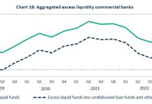 Aruba den necesidad urgente de capital & experticio internacional