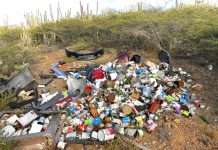 Ciudadanonan ta sigui reporta cu Aruba tin sushi na varios caminda