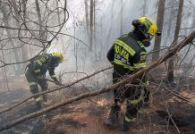Colombia: Candela forestal ta menasa cu destrui parti di Sierra Nevada di Santa Marta