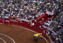 Corte federal ta bolbe suspende pelea di toro na Ciudad de Mexico