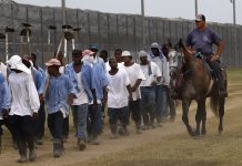 Prisoneronan na Merca ta parti di un forsa laboral scondi conecta cu centenares di marca di cuminda popular