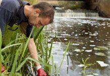 Restonan di medicamento pa dolor ta contaminado awanan Hulandes, segun RIVM