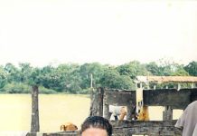 Liliana Nelly Cardenas Mendoza-Arias Chacaltana