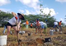 Boluntarionan ya por registra online pa participa den e proyectonan di Aruba Doet 2024