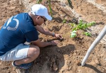 Colegio Conrado Coronel lo ricibi un hardin di alimentacion