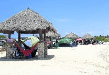 Fecha oficial pa cuminsa campa e aña aki ta dia 24 di maart