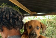 Luna Foundation cu recaudacion di fondo durante paradanan grandi di carnaval