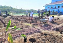 Proyecto di Agroforesteria a cuminsa na Scol Primario Kudawecha