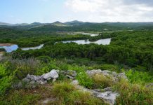World Wetlands Day 2024: Nos ta honra un di e ecosistemanan mas rico na biodiversidad
