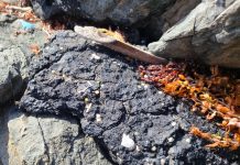 A sigui mira oilspill y awor ta cerca di Natural Bridge