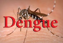 DVG ta alerta pa casonan sospechoso di Dengue cu ta subiendo na Aruba