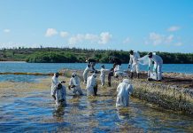 Follow The Money investigando doño tras di barco cu a causa contaminacion di azeta na Bonaire
