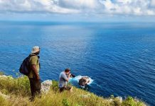 Update di Proyecto di Monitoreo di Parha di Caribe Hulandes