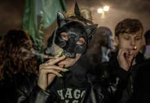 Alemania ta legalisa posesion di cantidadnan chikito di cannabis