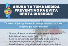Aruba ta tuma medida preventivo pa evita brote di dengue