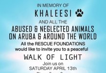 Caminata “Walk of Light” den memoria di cacho Khaleesi y pa uni pueblo back ta otro siman