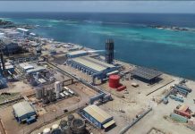 Candela den motor di planta RECIP na WEB