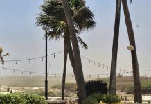 Comunidad ta urgi pa maneho di vehiculonan UTV y asina stop cu destruccion di naturalesa