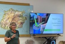 Conservacion Colaborativo den Caribe Hulandes