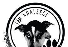 Cuerpo di Polis di Aruba y Ministerio Publico ta bezig cu caso di cacho Khaleesi