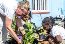 Diasabra St. Paulus School lo ricibi su hardin di alimentacion cu e proyecto di agroforesteria sintropico