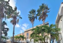 Wowo Critico: “Barcadera su caminda tin mas buraco cu e luna mes”