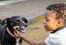 Ministerio di Naturalesa ta trahando ariba un ley nobo pa un futuro liber di abuso di animal