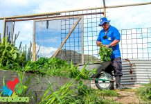 Departamento di Agricultura, Cria y Pesca (Santa Rosa); Planeta contra Plastic: Tema pa Dia di Tera
