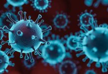 A detecta un variante nobo di Covid-19 yama FLiRT