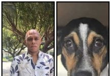 Awe Alberto Groeneveldt ta presenta na corte pa caso di maltrato di cacho Khaleesi