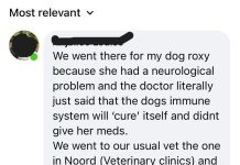 Ciudadanonan preocupa y malcontento cu servicio di veterinario cu ta perde nan mascota