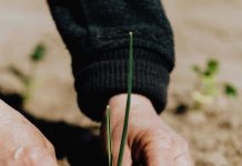 Dia Internacional di Famia 2024 ta enfoca ariba cambio climatico