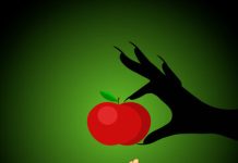 Little stars: Festival di teatro infantil ta back cu Sneeuw Blanco!