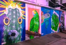 Expandiendo e coleccion di arte riba caya na Aruba; Artistanan local ta revela nan mural nobo den caya grandi Oranjestad