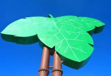 Parlamentario Jesus-Leito ta busca claridad di gobierno tocante plannan di Campo Alegre