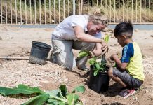 Proximo scol pa ricibi nan hardin di alimentacion lo bira Scol Basico Dornasol