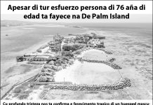 Comunicado di parti di De Palm Island