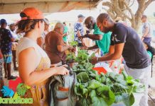 Santa Rosa: Bishita nos prome Mercado Santa Rosa grandi diadomingo awo