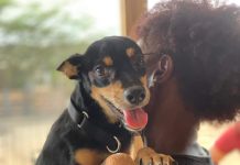 Campaña Paws Uni pa sterilisa mascota den diferente bario